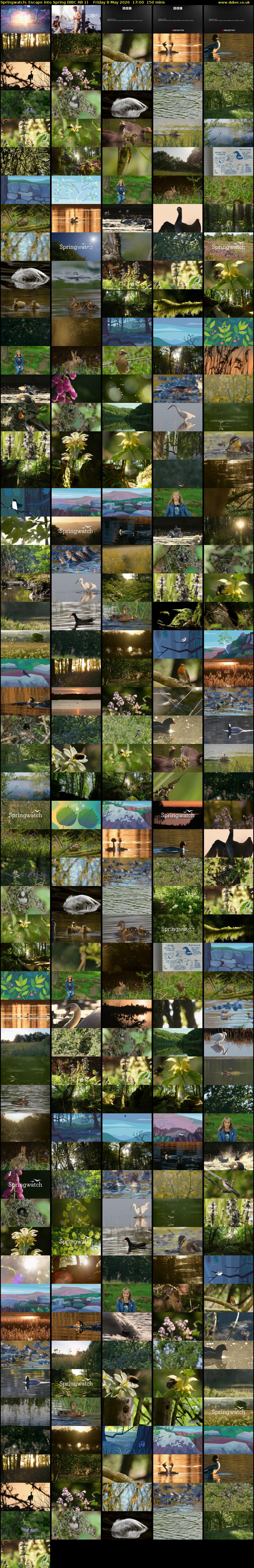 Springwatch: Escape into Spring (BBC RB 1) Friday 8 May 2026 17:00 - 19:30