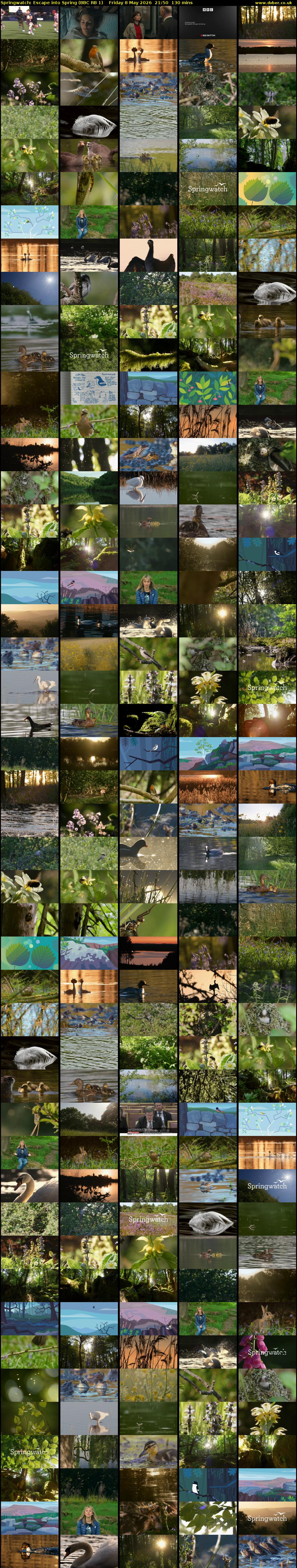 Springwatch: Escape into Spring (BBC RB 1) Friday 8 May 2026 21:50 - 00:00