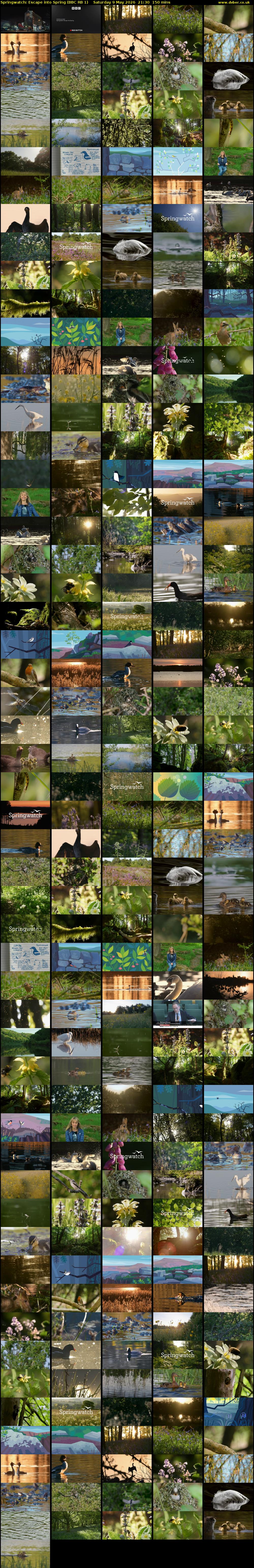 Springwatch: Escape into Spring (BBC RB 1) Saturday 9 May 2026 21:30 - 00:00