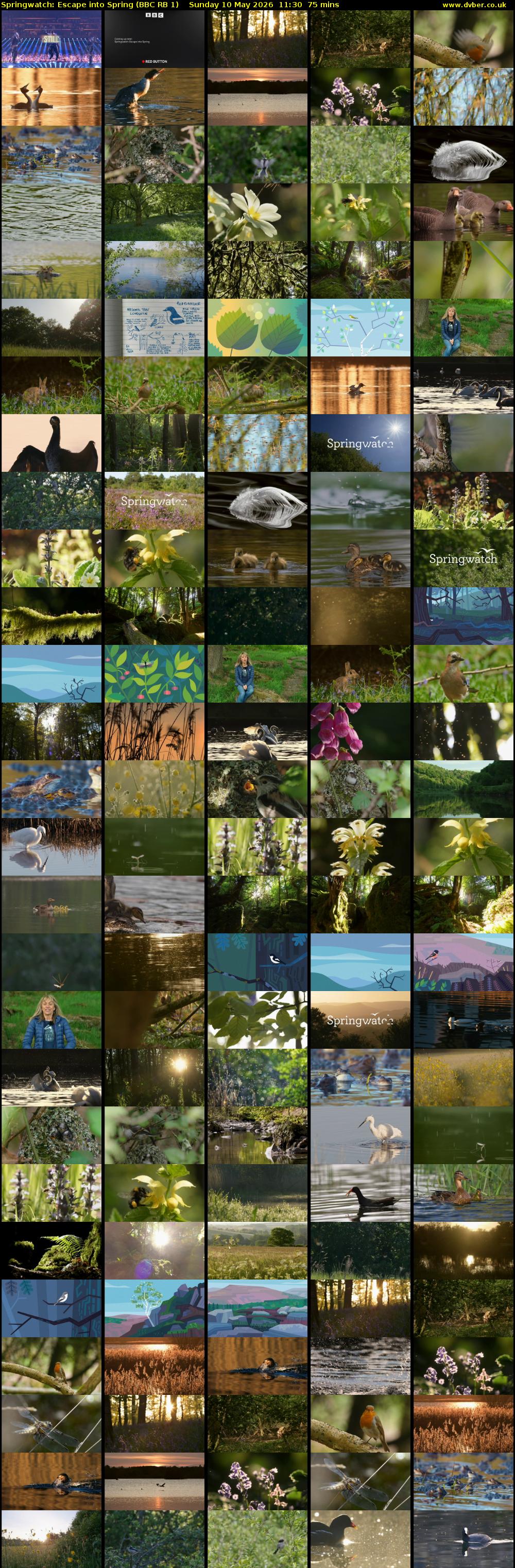 Springwatch: Escape into Spring (BBC RB 1) Sunday 10 May 2026 11:30 - 12:45