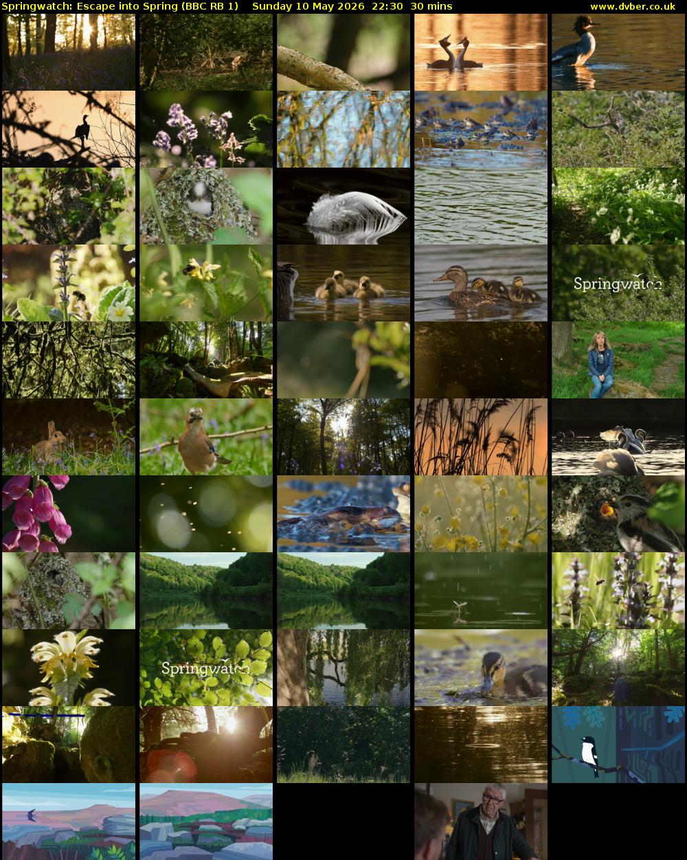 Springwatch: Escape into Spring (BBC RB 1) Sunday 10 May 2026 22:30 - 23:00