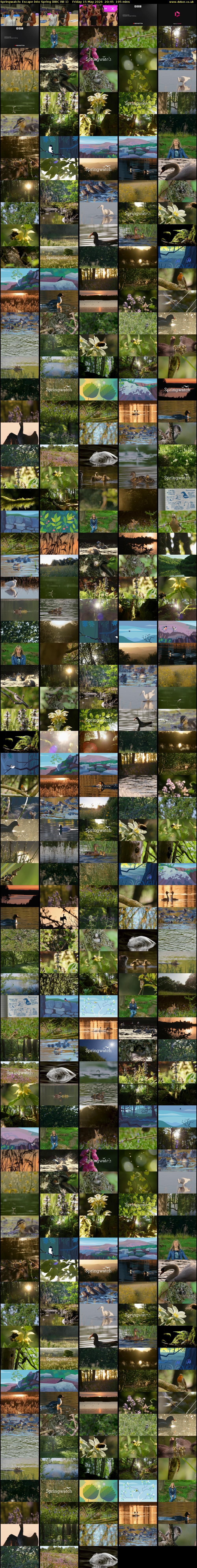 Springwatch: Escape into Spring (BBC RB 1) Friday 15 May 2026 20:45 - 00:00