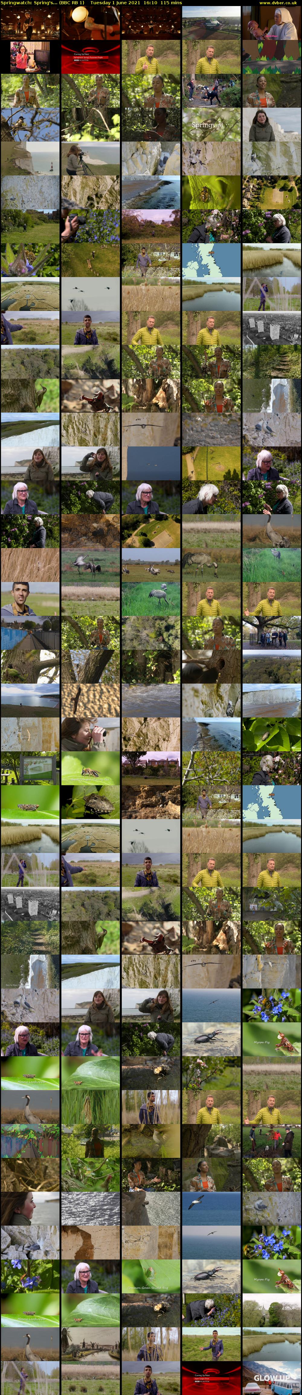 Springwatch: Spring's... (BBC RB 1) Tuesday 1 June 2021 16:10 - 18:05