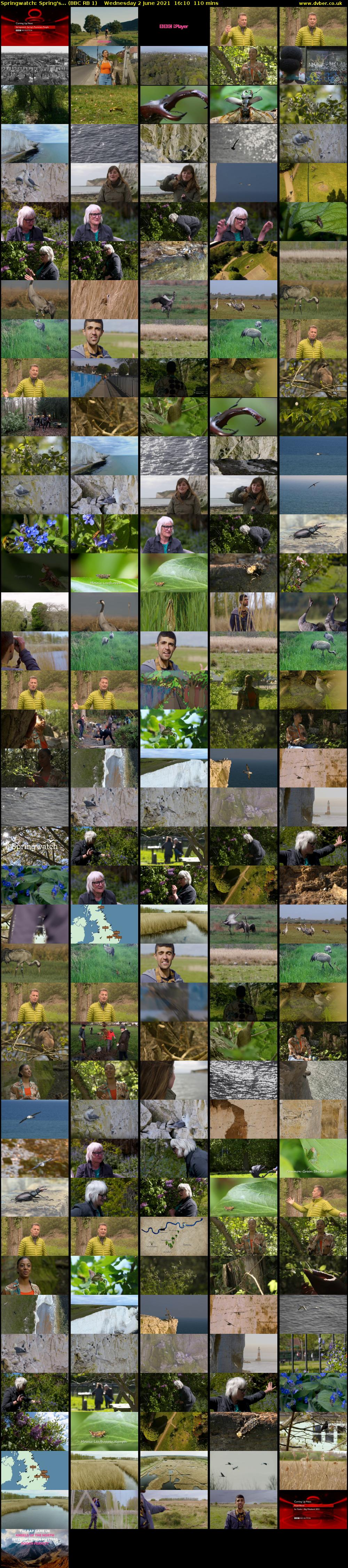 Springwatch: Spring's... (BBC RB 1) Wednesday 2 June 2021 16:10 - 18:00