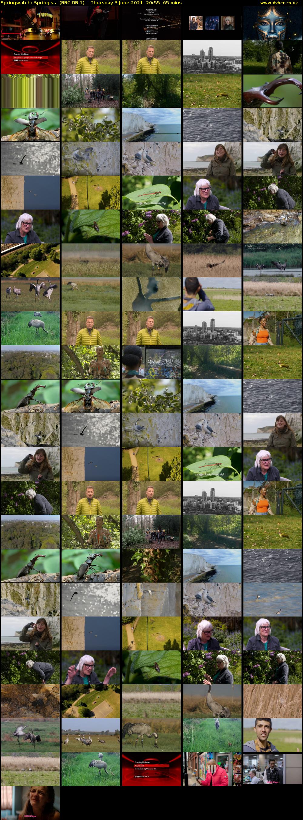 Springwatch: Spring's... (BBC RB 1) Thursday 3 June 2021 20:55 - 22:00