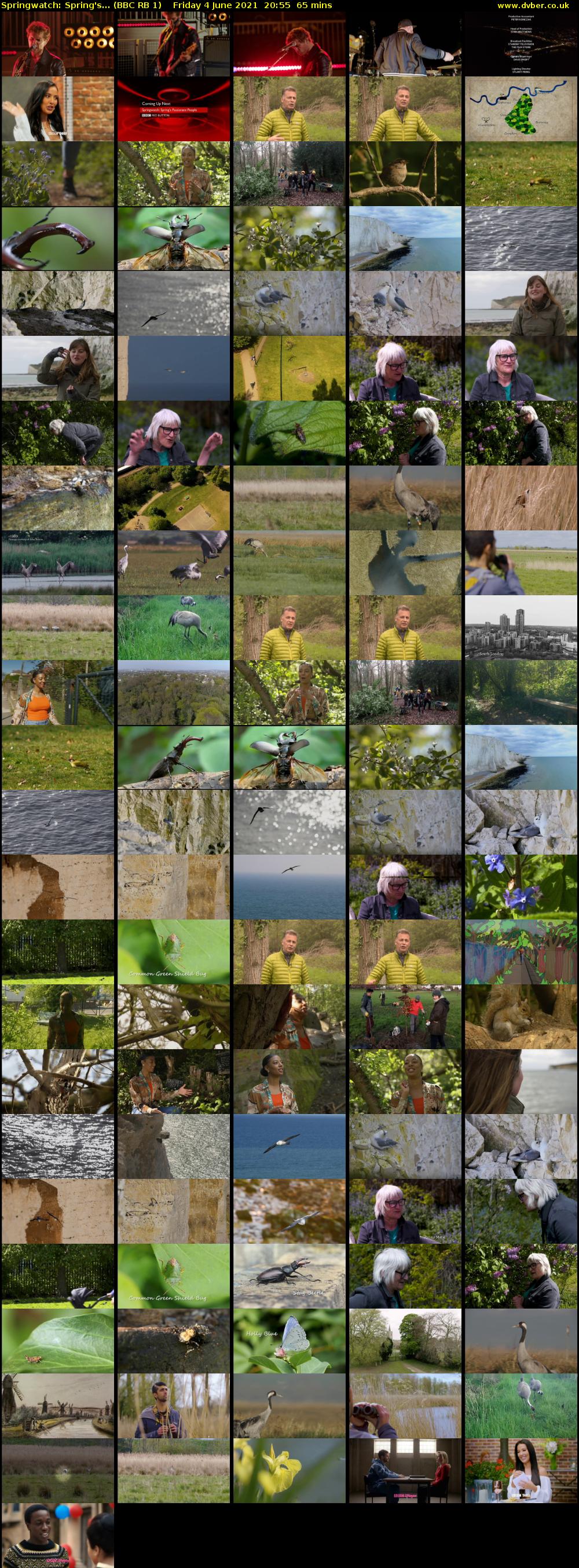 Springwatch: Spring's... (BBC RB 1) Friday 4 June 2021 20:55 - 22:00