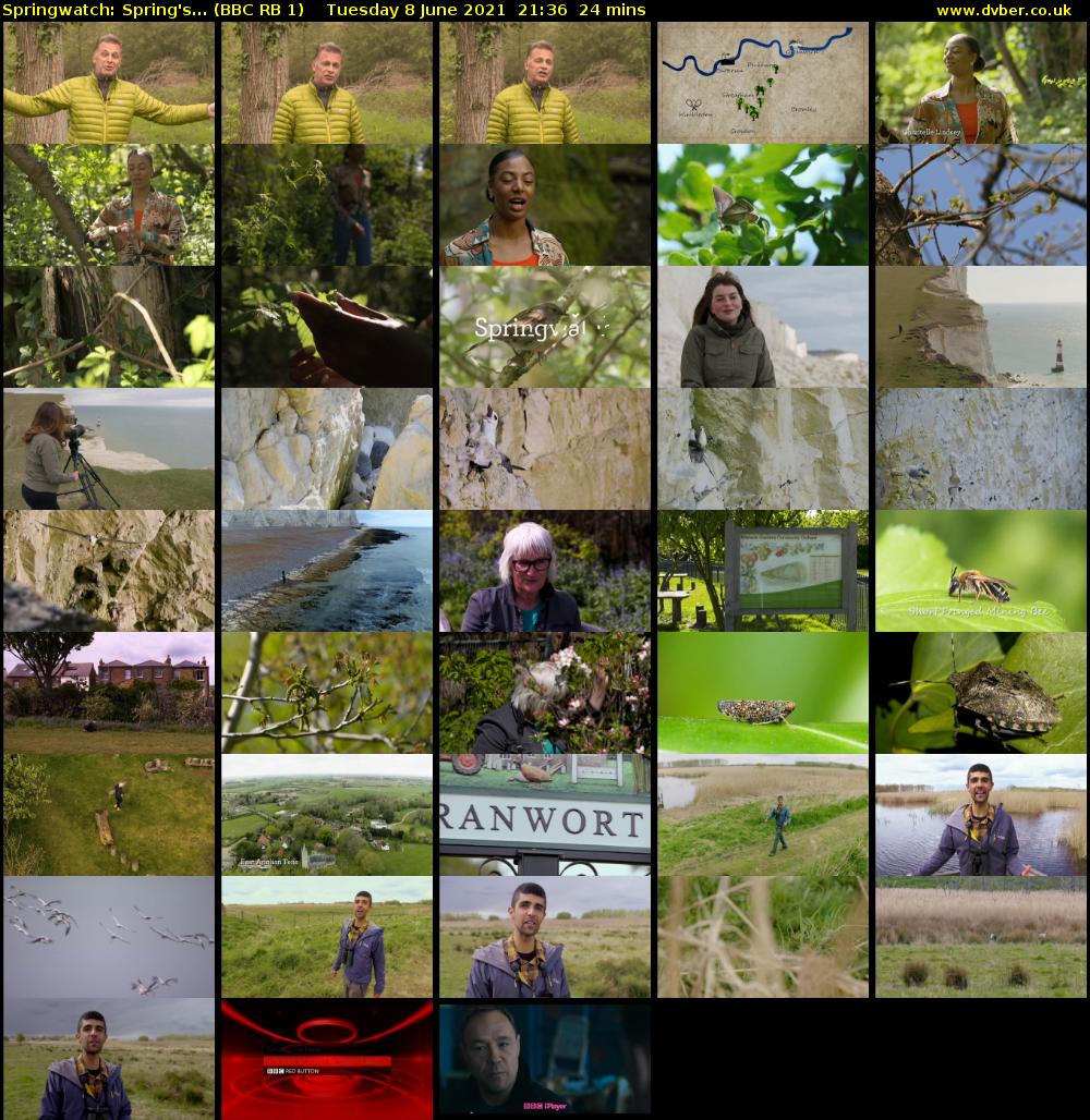 Springwatch: Spring's... (BBC RB 1) Tuesday 8 June 2021 21:36 - 22:00