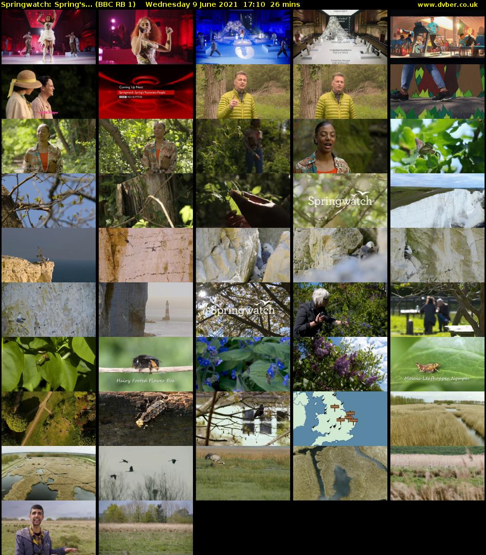 Springwatch: Spring's... (BBC RB 1) Wednesday 9 June 2021 17:10 - 17:36