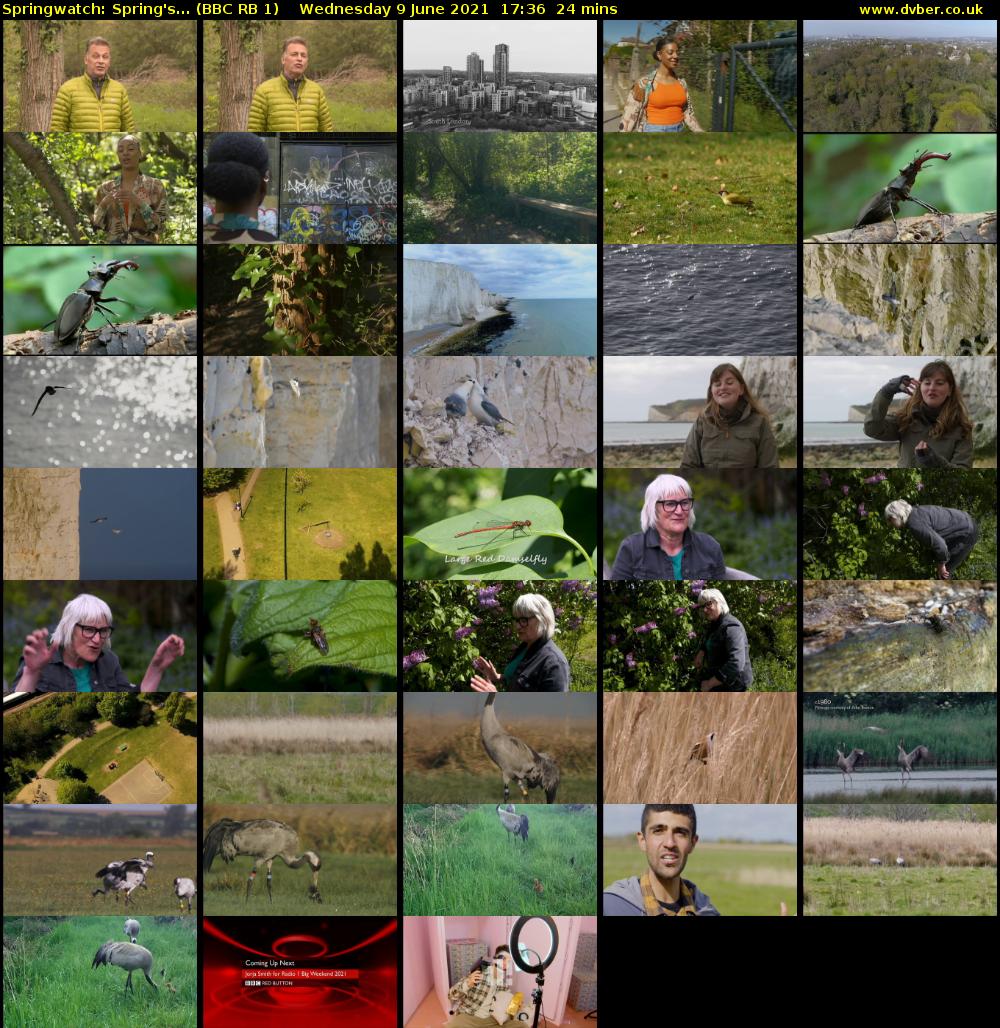 Springwatch: Spring's... (BBC RB 1) Wednesday 9 June 2021 17:36 - 18:00