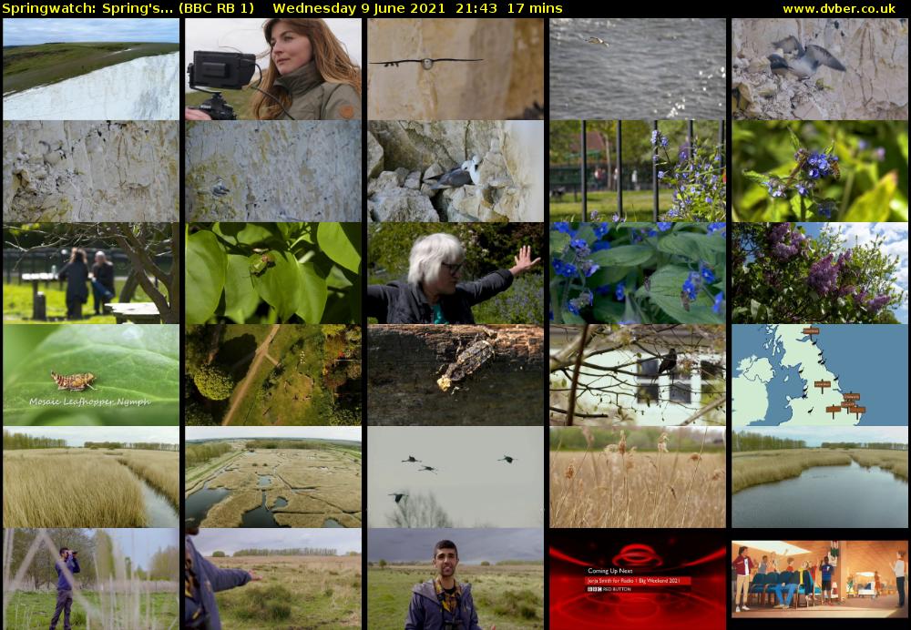 Springwatch: Spring's... (BBC RB 1) Wednesday 9 June 2021 21:43 - 22:00