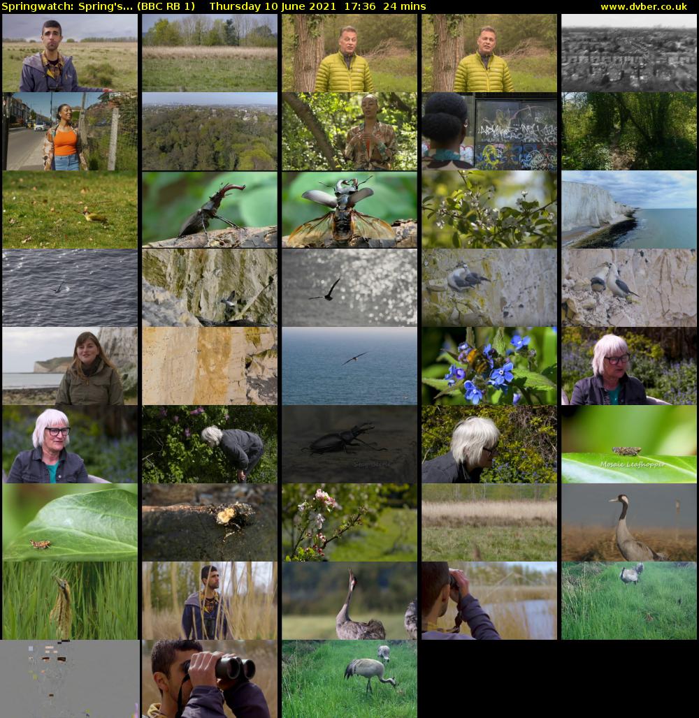 Springwatch: Spring's... (BBC RB 1) Thursday 10 June 2021 17:36 - 18:00