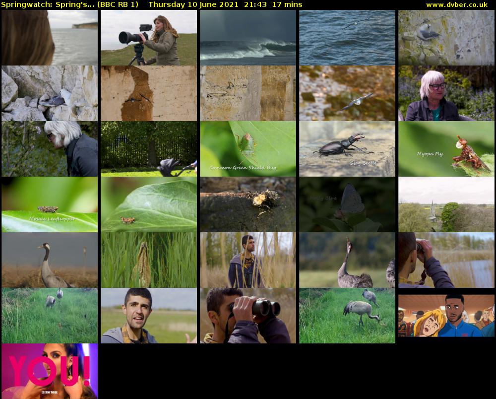 Springwatch: Spring's... (BBC RB 1) Thursday 10 June 2021 21:43 - 22:00