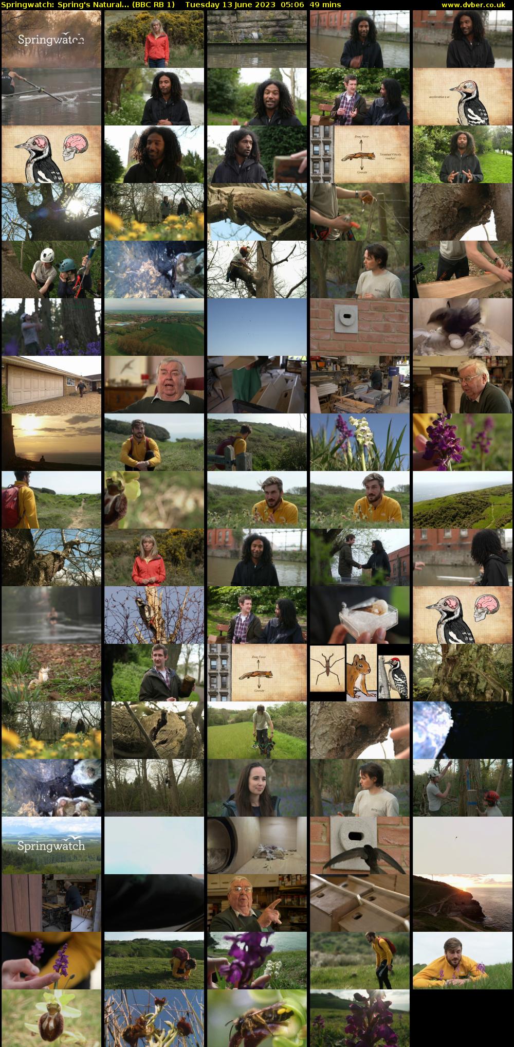 Springwatch: Spring's Natural... (BBC RB 1) Tuesday 13 June 2023 05:06 - 05:55