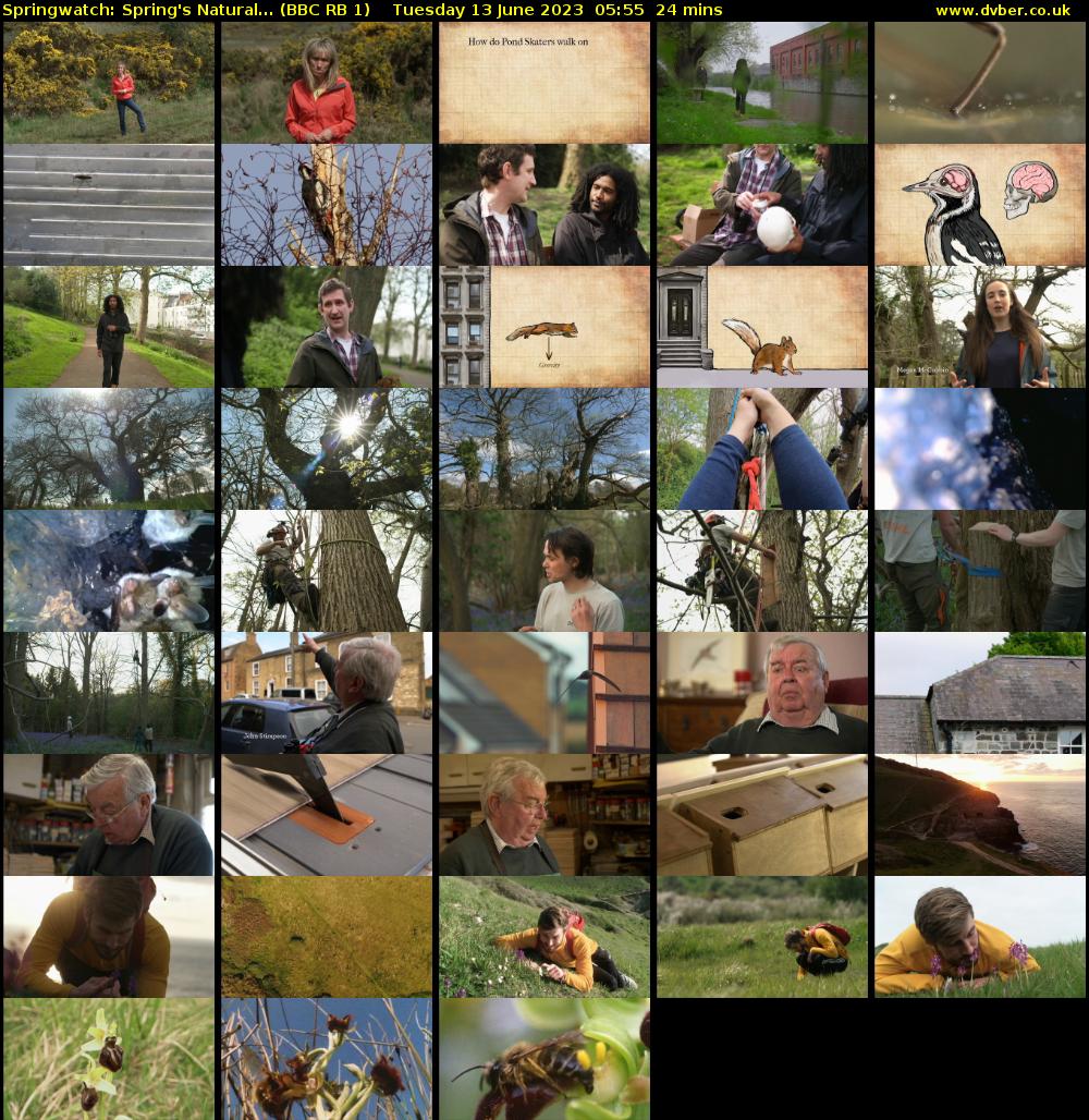 Springwatch: Spring's Natural... (BBC RB 1) Tuesday 13 June 2023 05:55 - 06:19