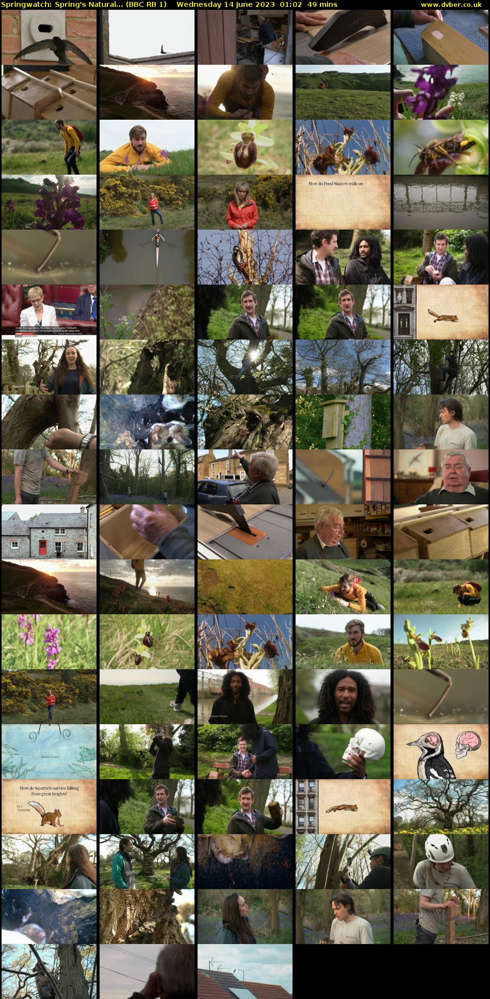 Springwatch: Spring's Natural... (BBC RB 1) Wednesday 14 June 2023 01:02 - 01:51