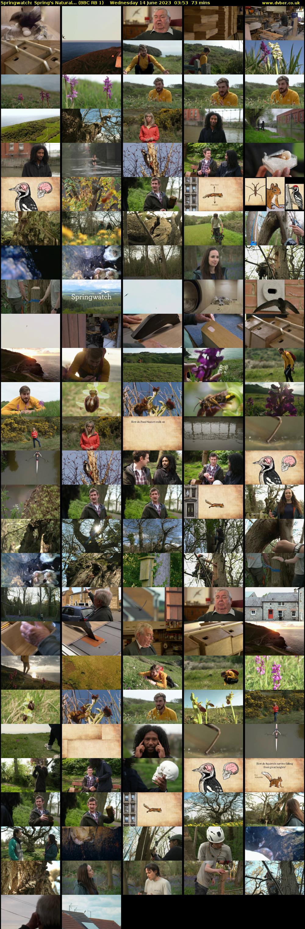 Springwatch: Spring's Natural... (BBC RB 1) Wednesday 14 June 2023 03:53 - 05:06