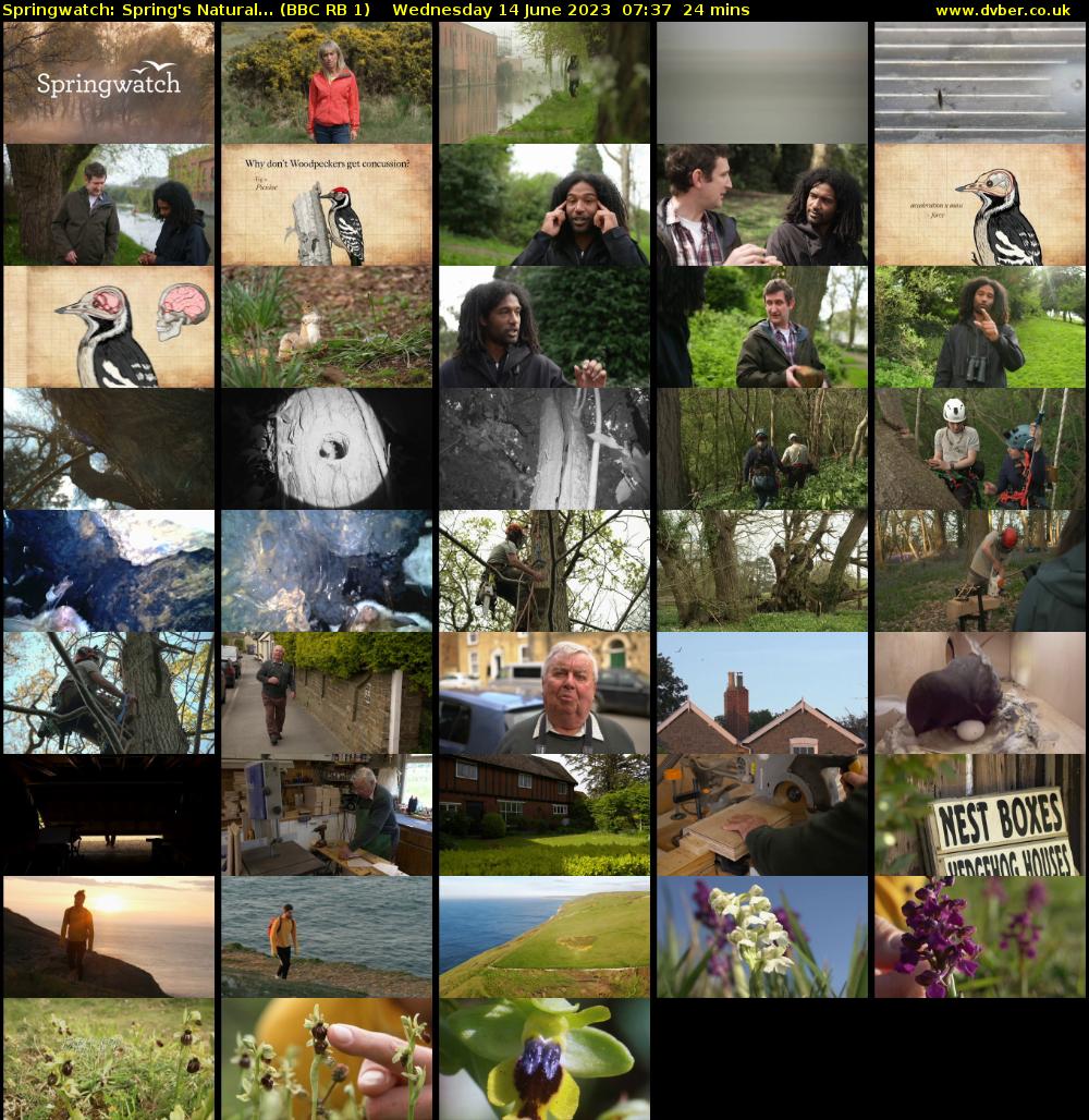 Springwatch: Spring's Natural... (BBC RB 1) Wednesday 14 June 2023 07:37 - 08:01