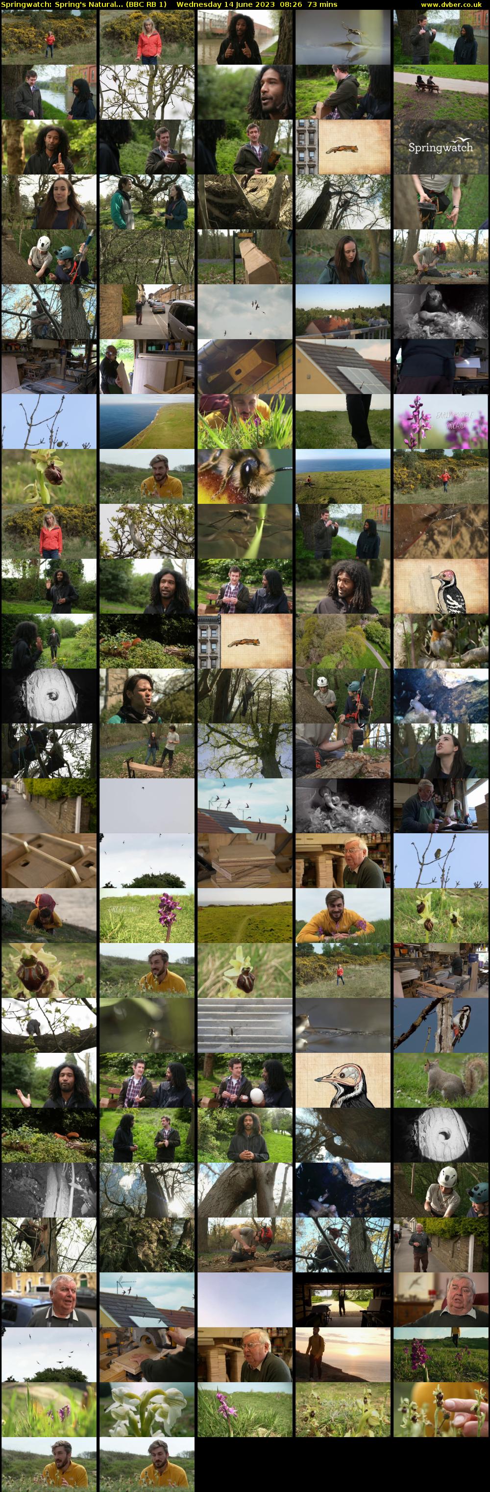 Springwatch: Spring's Natural... (BBC RB 1) Wednesday 14 June 2023 08:26 - 09:39