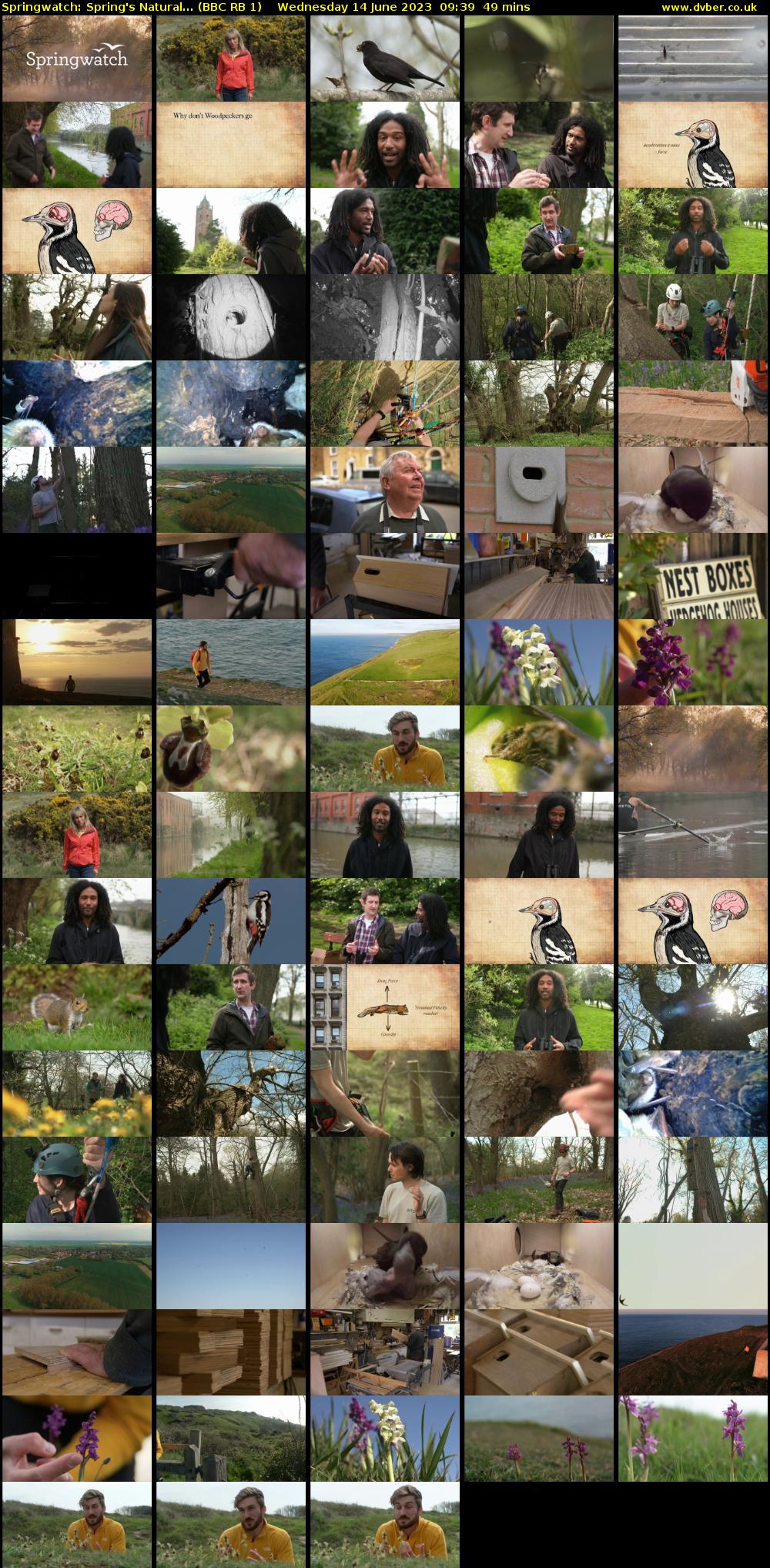 Springwatch: Spring's Natural... (BBC RB 1) Wednesday 14 June 2023 09:39 - 10:28