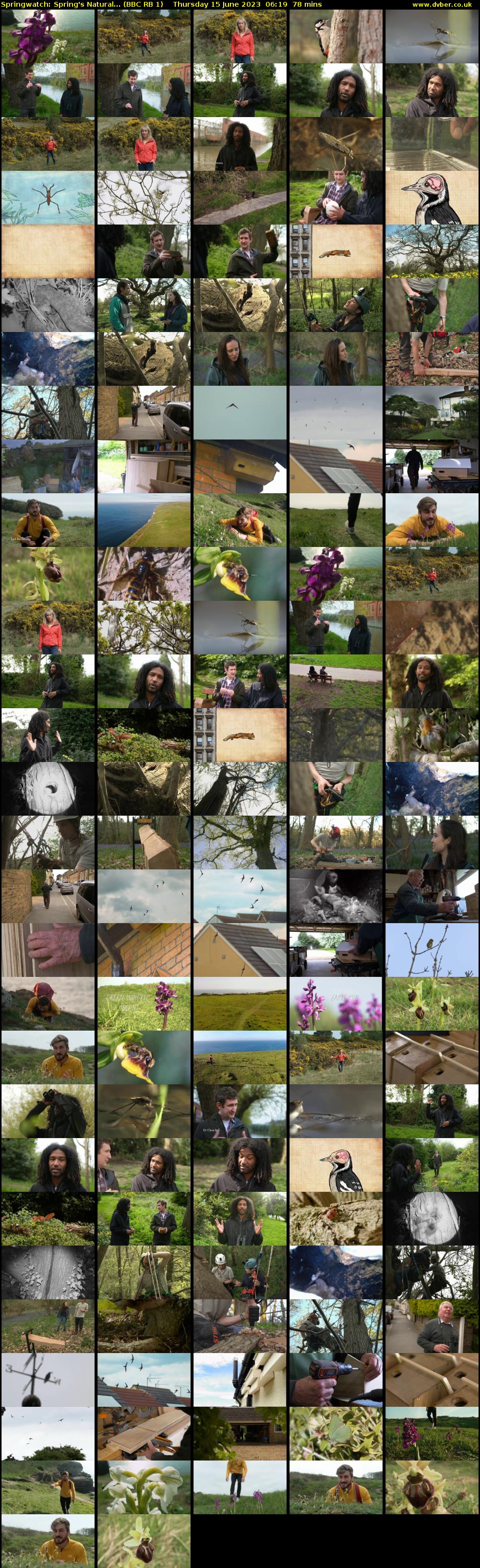 Springwatch: Spring's Natural... (BBC RB 1) Thursday 15 June 2023 06:19 - 07:37