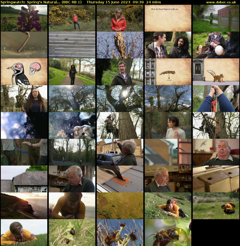 Springwatch: Spring's Natural... (BBC RB 1) Thursday 15 June 2023 09:39 - 10:03
