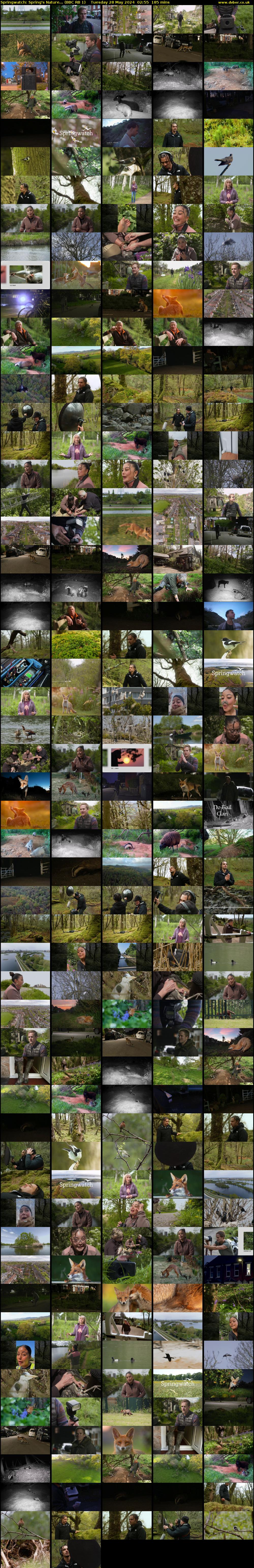 Springwatch: Spring's Nature... (BBC RB 1) Tuesday 28 May 2024 02:55 - 06:00