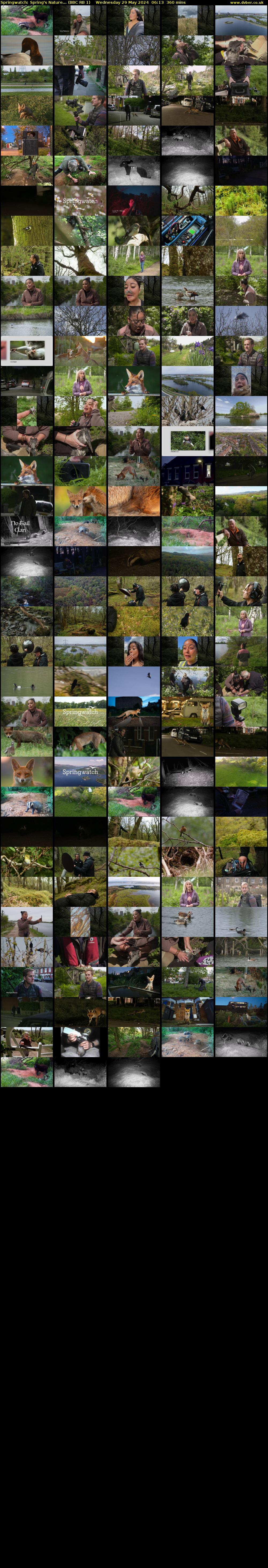 Springwatch: Spring's Nature... (BBC RB 1) Wednesday 29 May 2024 06:13 - 12:13