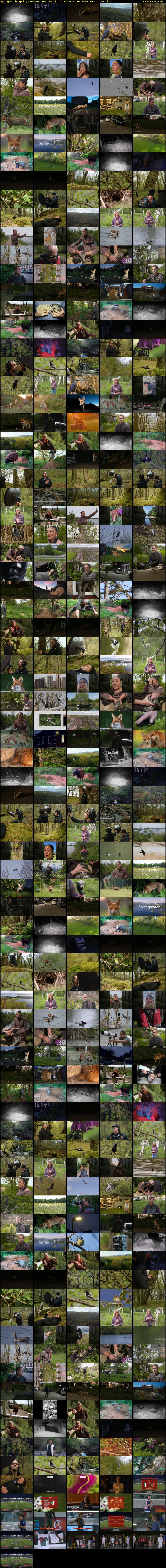 Springwatch: Spring's Nature... (BBC RB 1) Thursday 6 June 2024 14:45 - 18:40