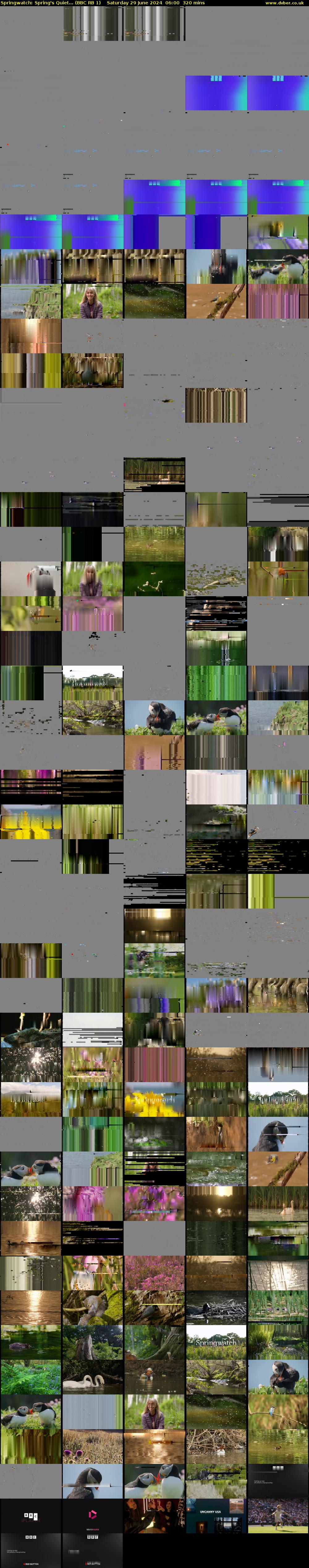 Springwatch: Spring's Quiet... (BBC RB 1) Saturday 29 June 2024 06:00 - 11:20