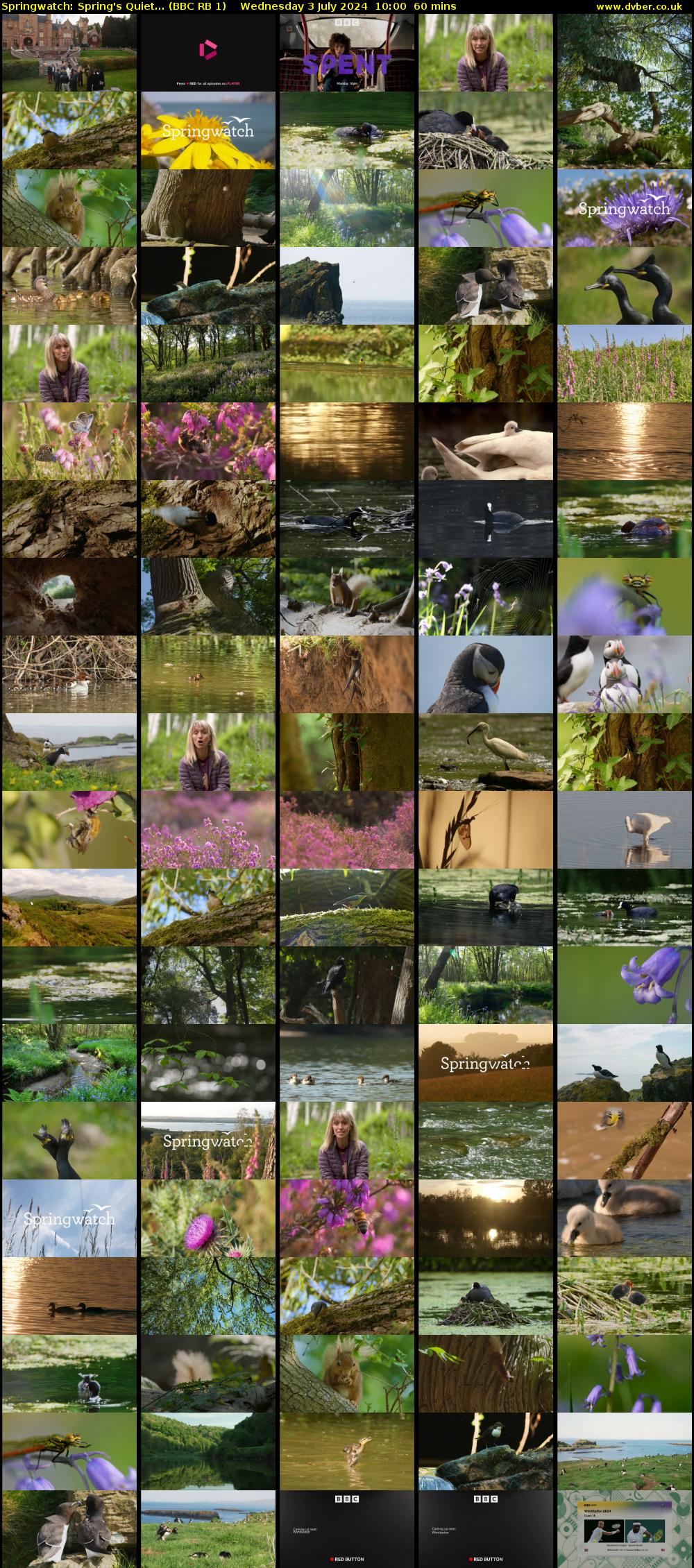 Springwatch: Spring's Quiet... (BBC RB 1) Wednesday 3 July 2024 10:00 - 11:00
