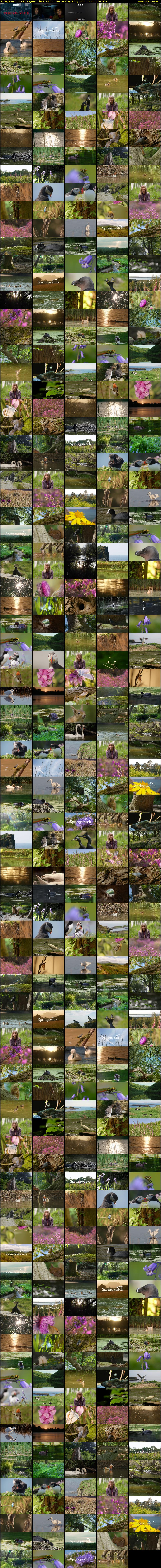 Springwatch: Spring's Quiet... (BBC RB 1) Wednesday 3 July 2024 23:45 - 03:45