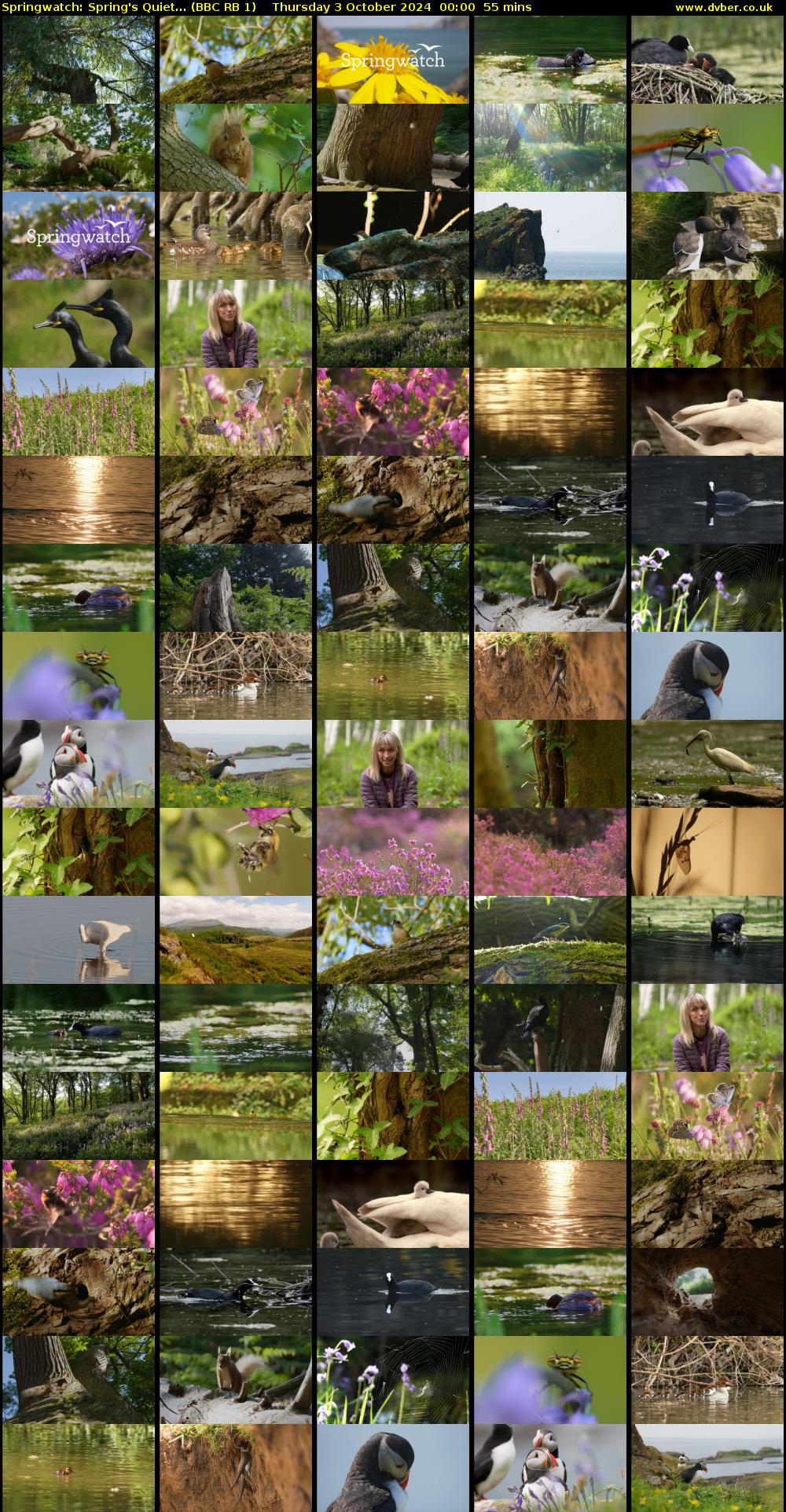Springwatch: Spring's Quiet... (BBC RB 1) Thursday 3 October 2024 00:00 - 00:55