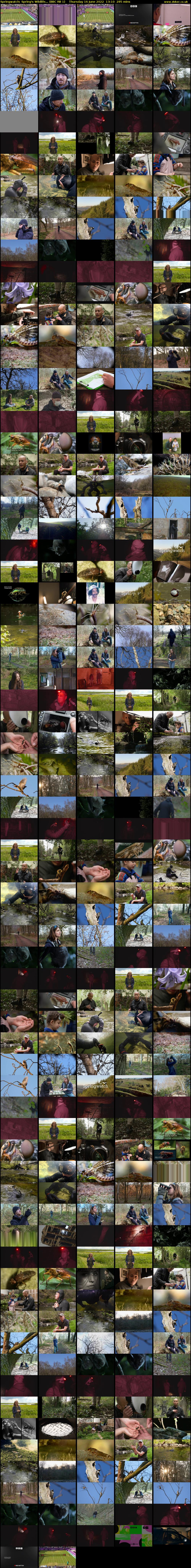 Springwatch: Spring's Wildlife... (BBC RB 1) Thursday 16 June 2022 13:10 - 17:55