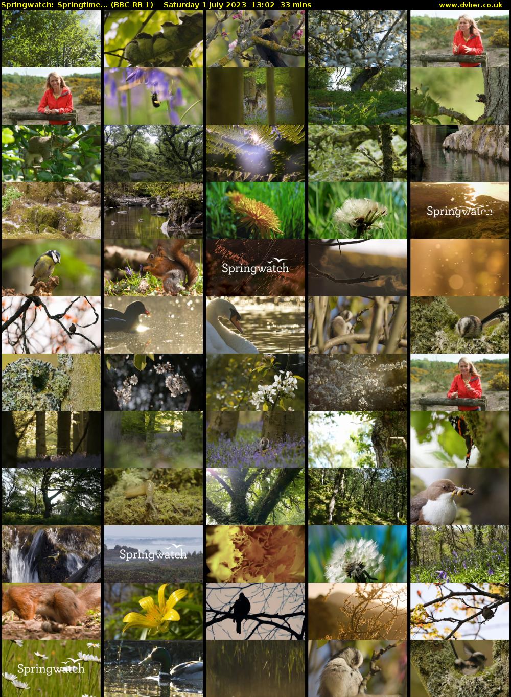 Springwatch: Springtime... (BBC RB 1) Saturday 1 July 2023 13:02 - 13:35