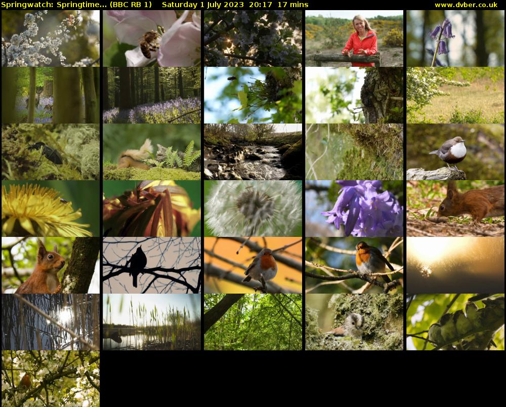 Springwatch: Springtime... (BBC RB 1) Saturday 1 July 2023 20:17 - 20:34