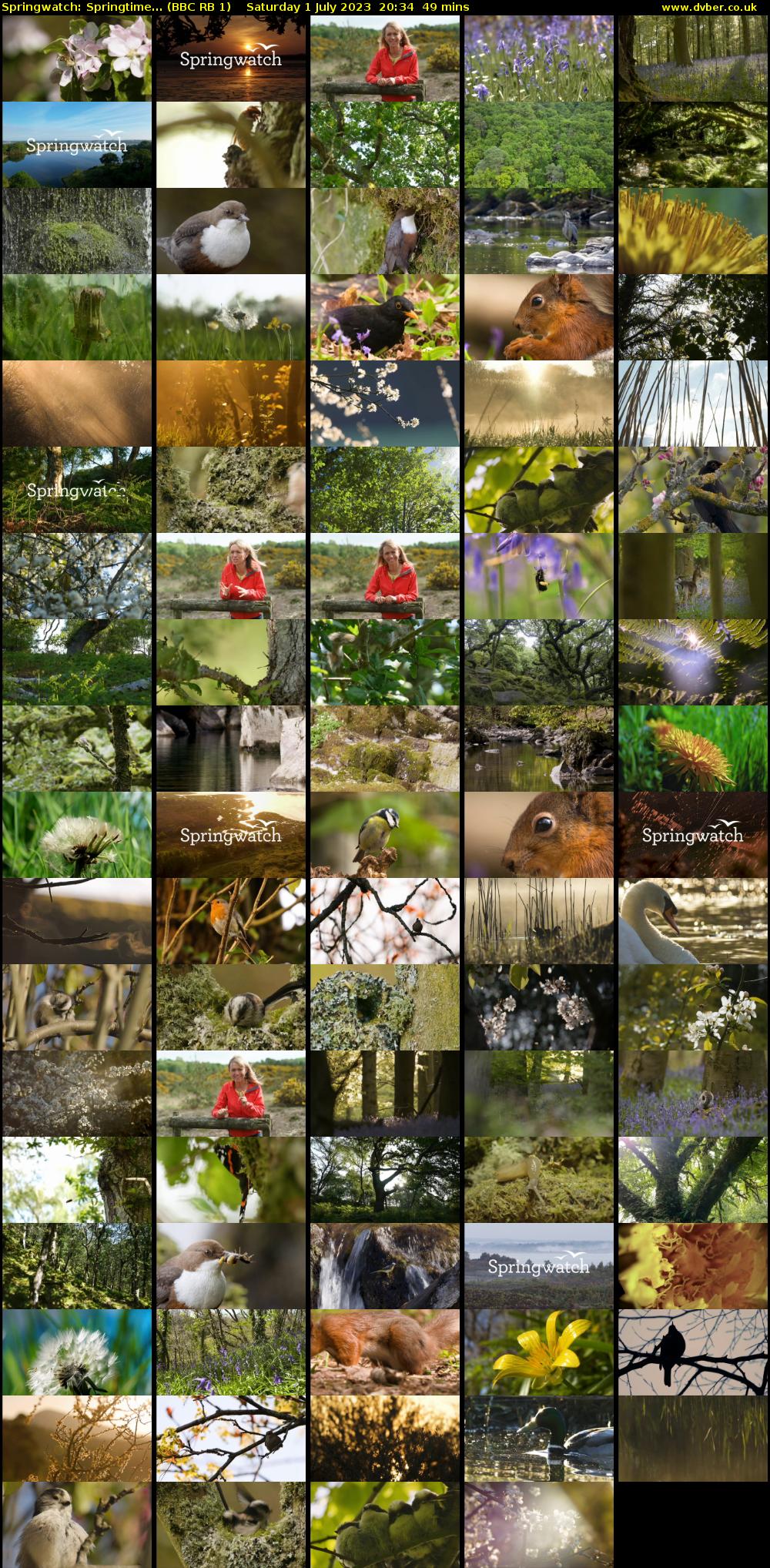 Springwatch: Springtime... (BBC RB 1) Saturday 1 July 2023 20:34 - 21:23