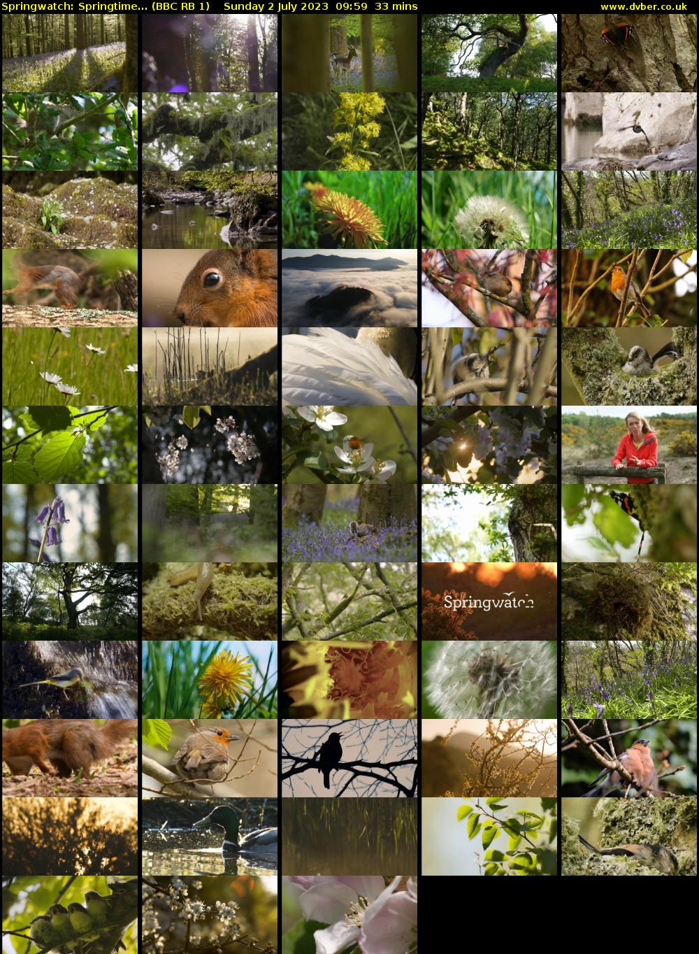 Springwatch: Springtime... (BBC RB 1) Sunday 2 July 2023 09:59 - 10:32