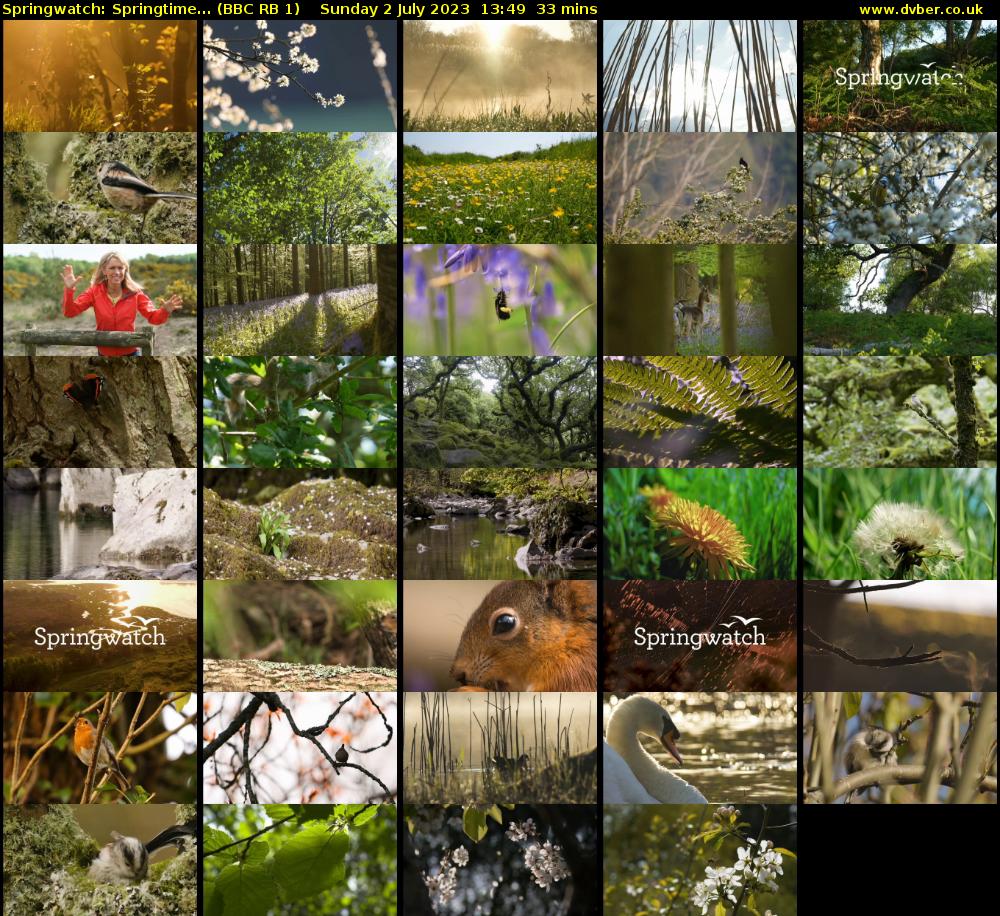 Springwatch: Springtime... (BBC RB 1) Sunday 2 July 2023 13:49 - 14:22