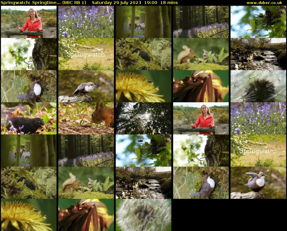 Springwatch: Springtime... (BBC RB 1) Saturday 29 July 2023 19:00 - 19:18