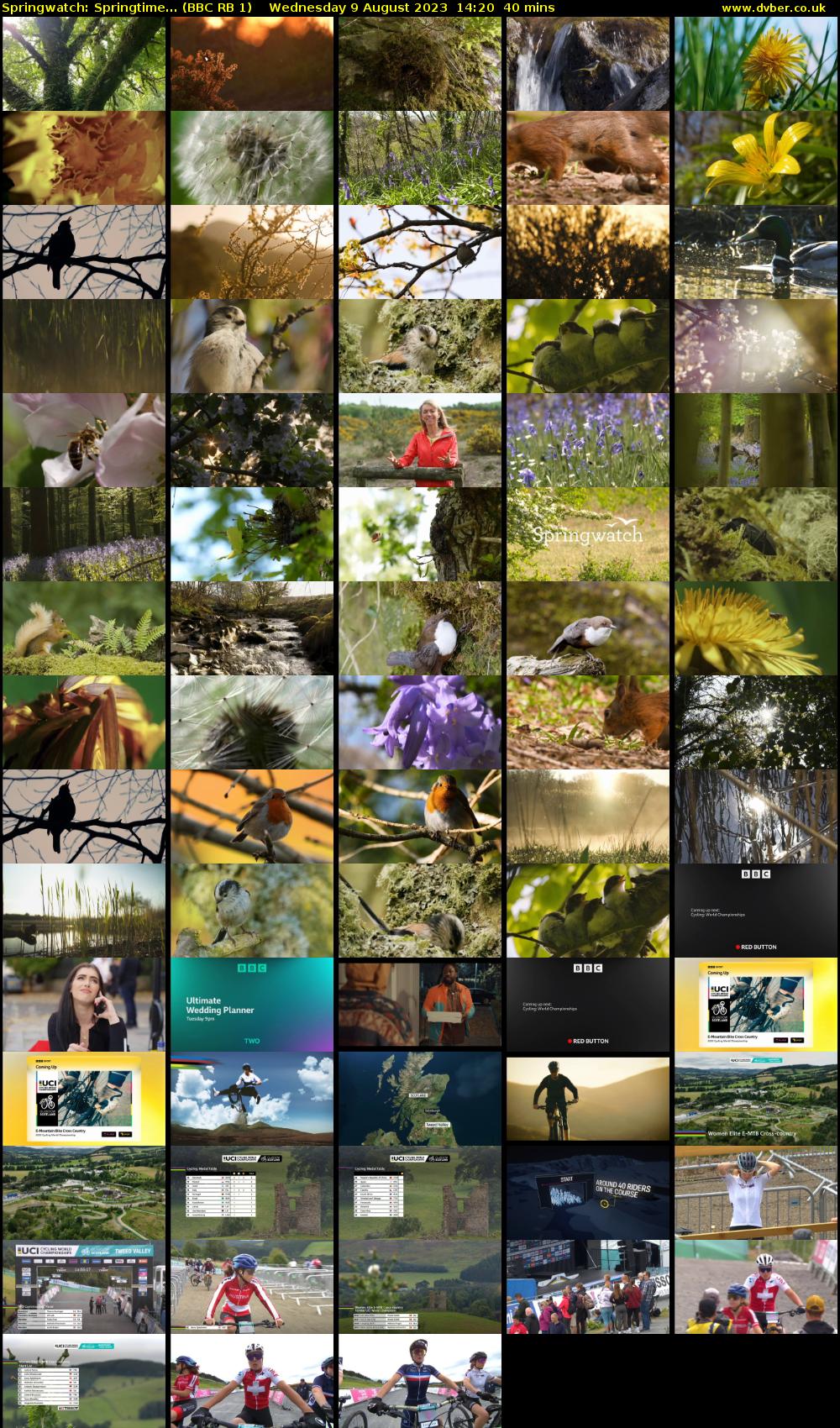 Springwatch: Springtime... (BBC RB 1) Wednesday 9 August 2023 14:20 - 15:00