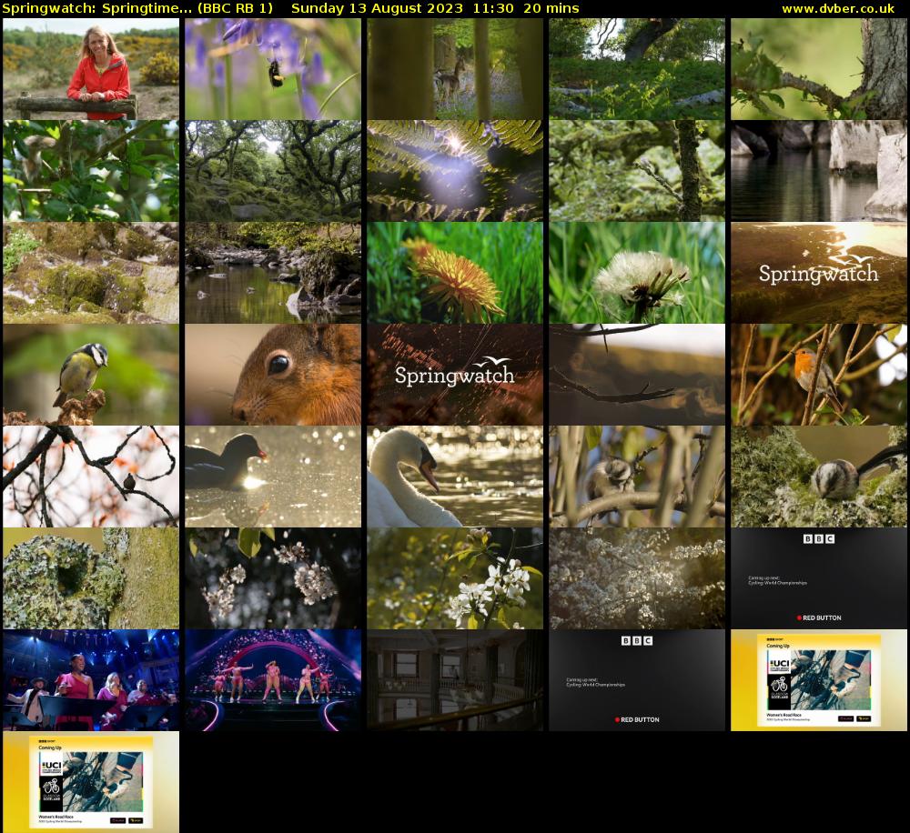 Springwatch: Springtime... (BBC RB 1) Sunday 13 August 2023 11:30 - 11:50