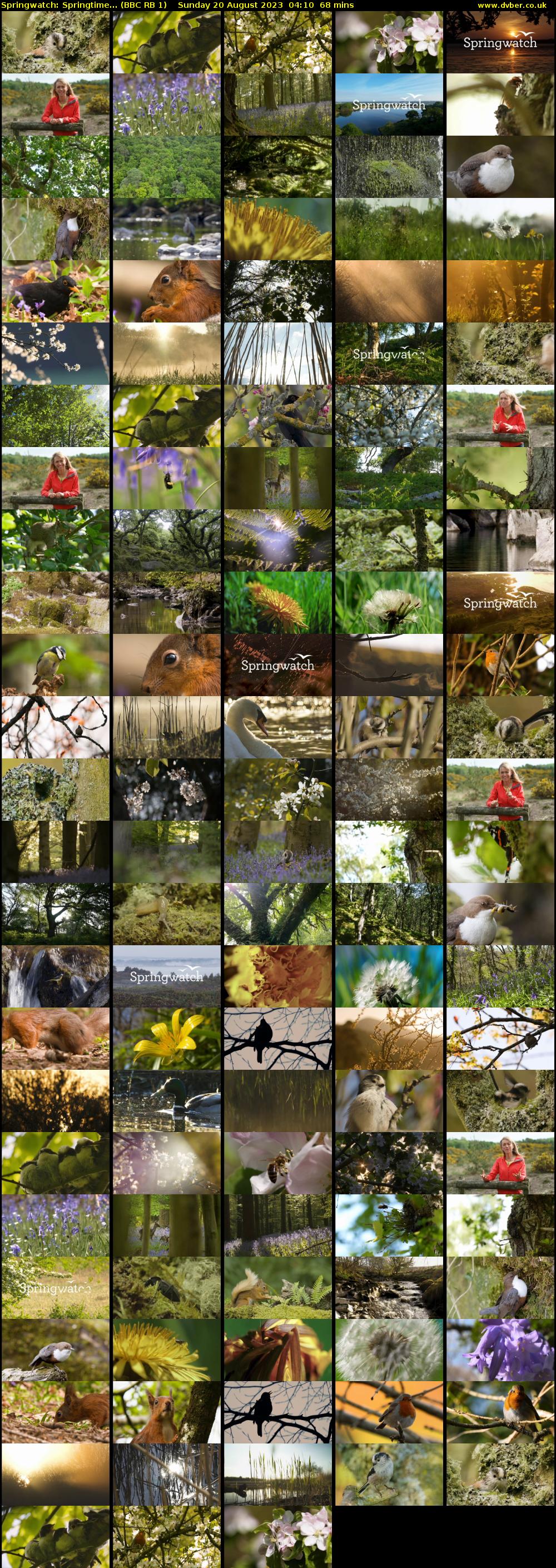 Springwatch: Springtime... (BBC RB 1) Sunday 20 August 2023 04:10 - 05:18
