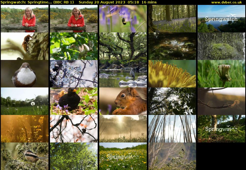 Springwatch: Springtime... (BBC RB 1) Sunday 20 August 2023 05:18 - 05:34