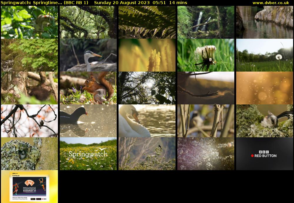 Springwatch: Springtime... (BBC RB 1) Sunday 20 August 2023 05:51 - 06:05