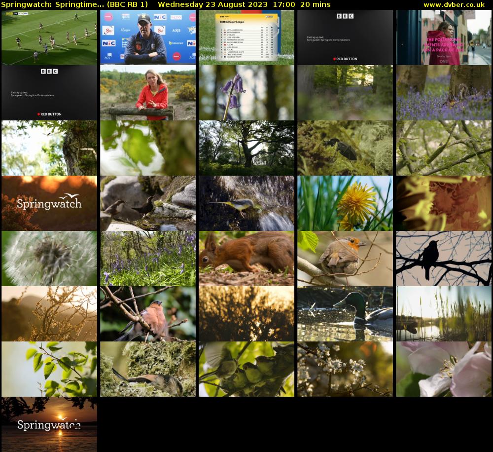 Springwatch: Springtime... (BBC RB 1) Wednesday 23 August 2023 17:00 - 17:20