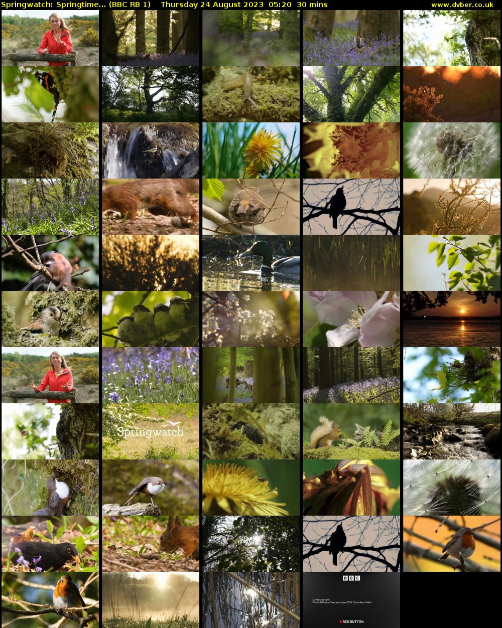 Springwatch: Springtime... (BBC RB 1) Thursday 24 August 2023 05:20 - 05:50