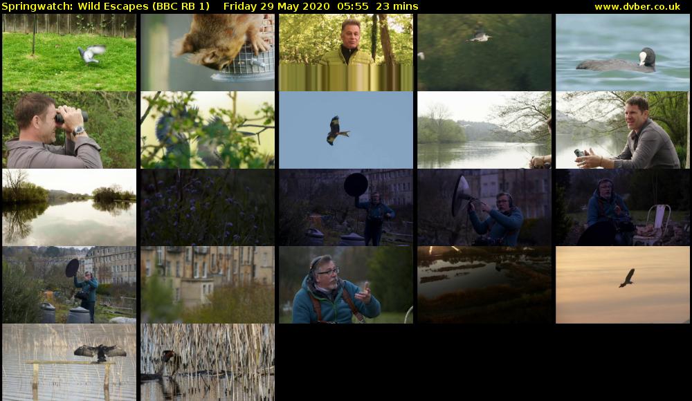 Springwatch: Wild Escapes (BBC RB 1) Friday 29 May 2020 05:55 - 06:18