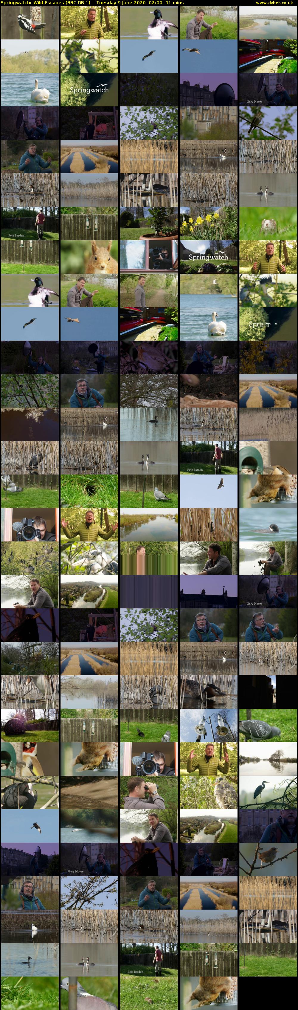 Springwatch: Wild Escapes (BBC RB 1) Tuesday 9 June 2020 02:00 - 03:31