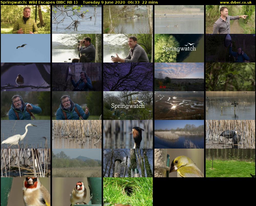 Springwatch: Wild Escapes (BBC RB 1) Tuesday 9 June 2020 06:33 - 06:55