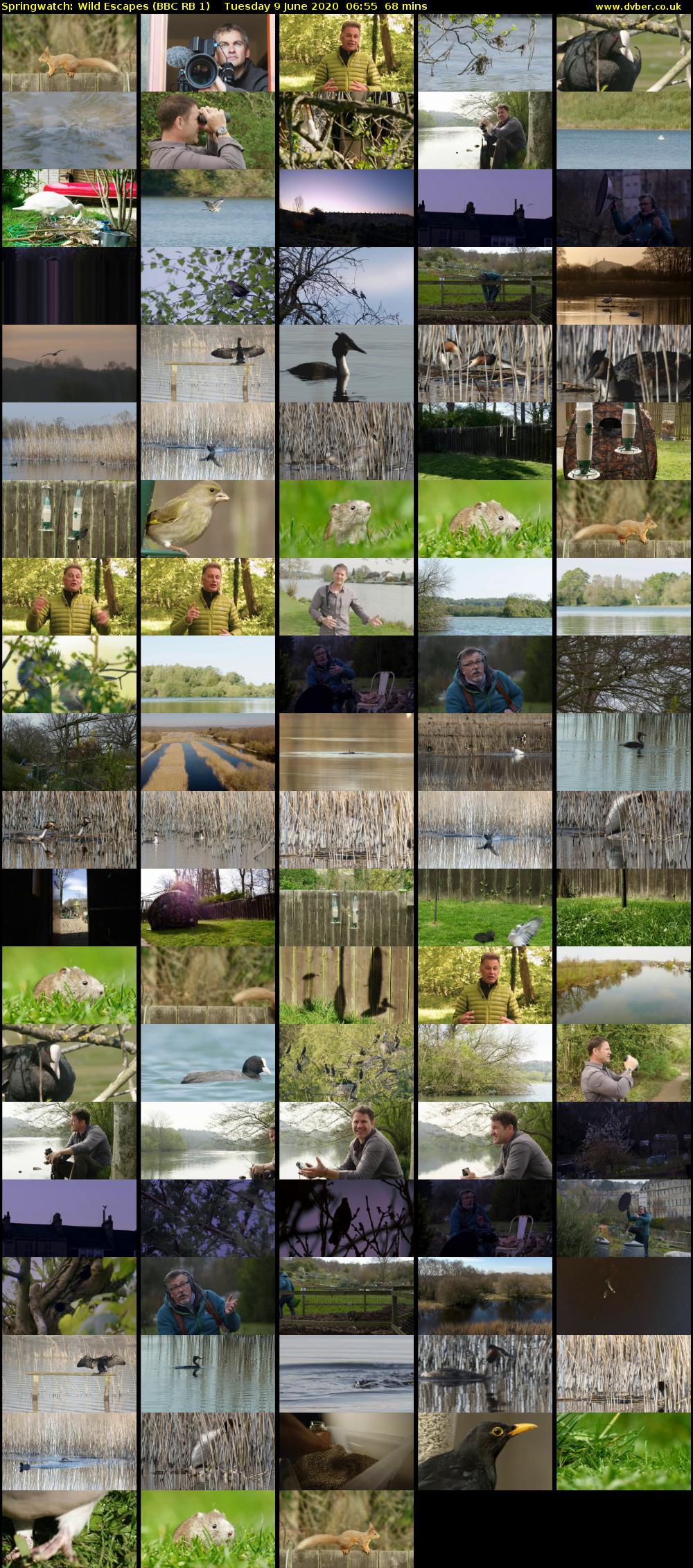 Springwatch: Wild Escapes (BBC RB 1) Tuesday 9 June 2020 06:55 - 08:03